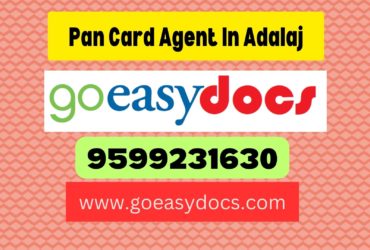 Pan Card Agent Consultant in Adalaj 8851415812