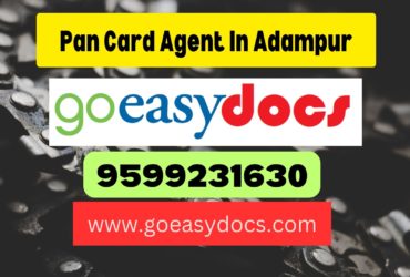 Pan Card Agent Consultant in Adampur 8851415812