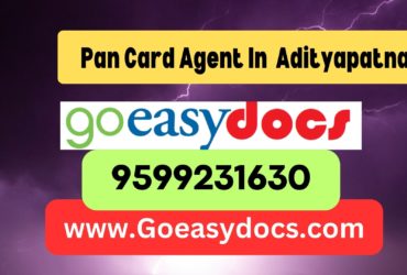 Pan Card Agent Consultant in Adityapatna 8851415812