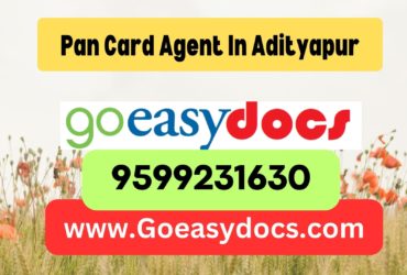 Pan Card Agent Consultant in Adityapur 8851415812