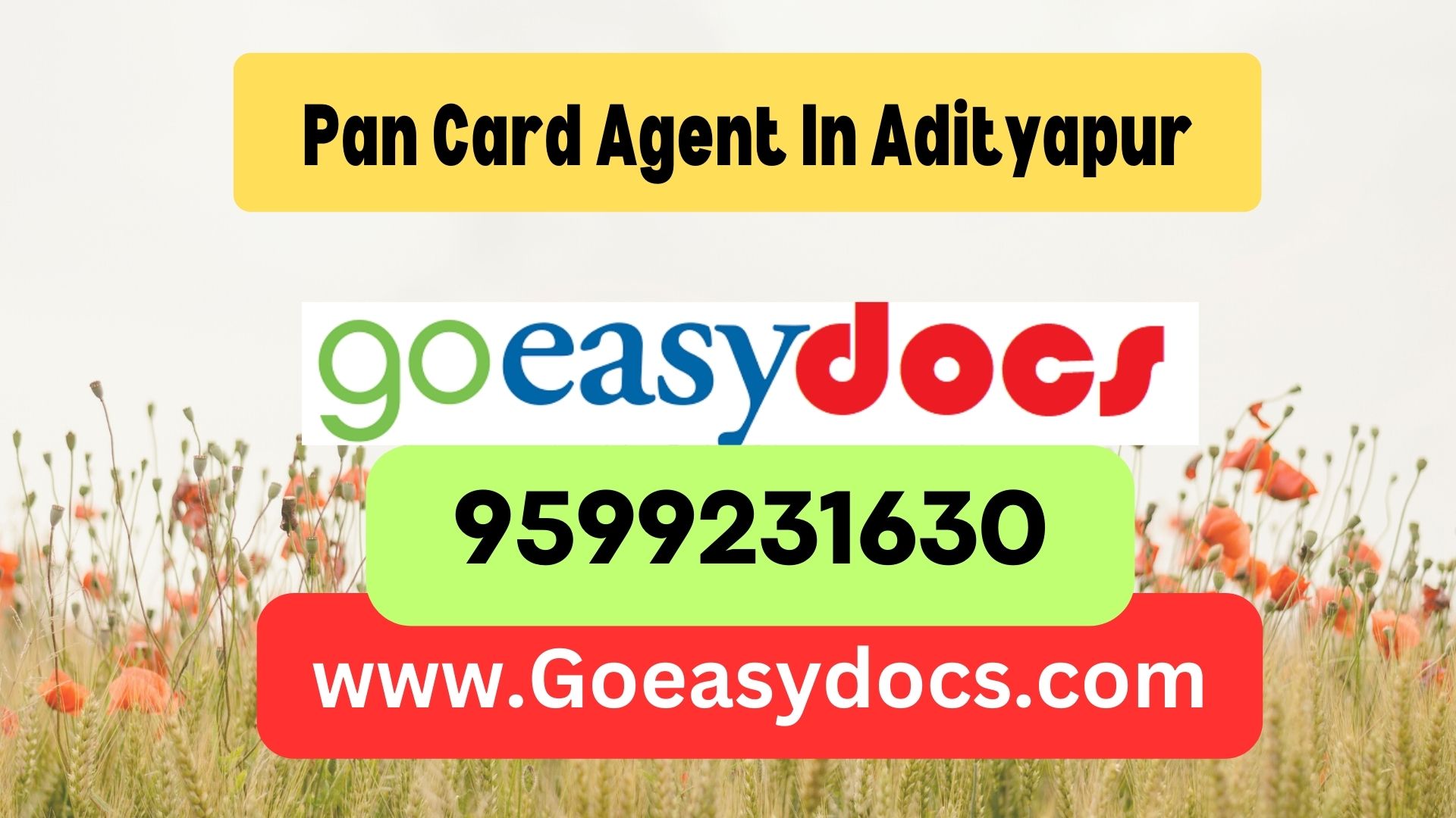 Pan Card Agent Consultant in Adityapur 8851415812