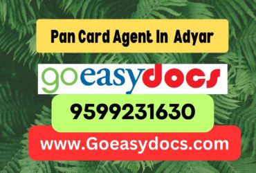 Pan Card Agent Consultant in Adyar 8851415812