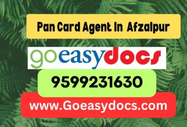 Pan Card Agent Consultant in Afzalpur 8851415812