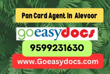 Pan Card Agent Consultant in Alevoor 8851415812