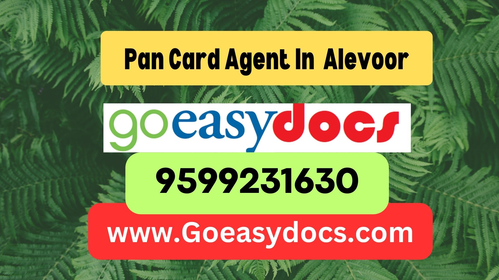 Pan Card Agent Consultant in Alevoor 8851415812