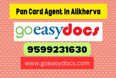 Pan Card Agent Consultant in Alikherva 8851415812