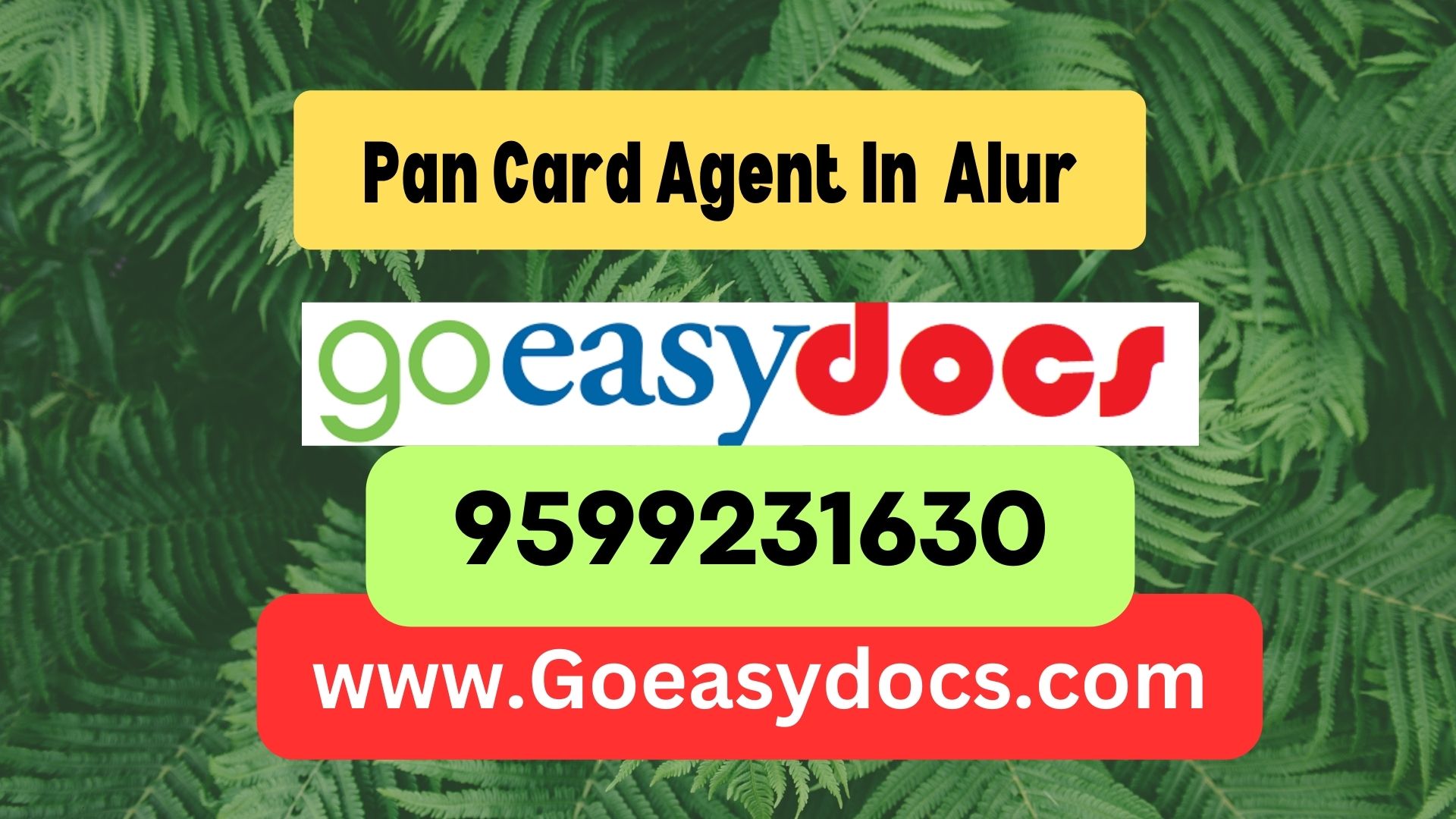 Pan Card Agent Consultant in Alur 8851415812