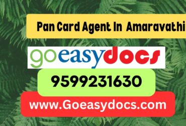 Pan Card Agent Consultant in Amaravathi 8851415812