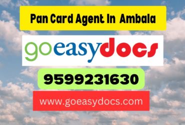 Pan Card Agent Consultant in Ambala 8851415812