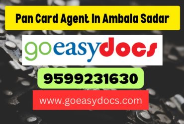 Pan Card Agent Consultant in Ambala Sadar 8851415812