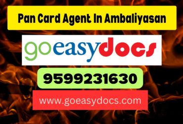 Pan Card Agent Consultant in Ambaliyasan 8851415812