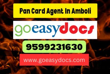 Pan Card Agent Consultant in Amboli 8851415812