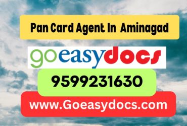 Pan Card Agent Consultant in Aminagad 8851415812