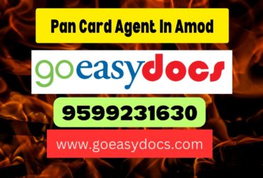 Pan Card Agent Consultant in Amod 8851415812