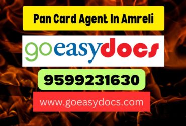 Pan Card Agent Consultant in Amreli 8851415812