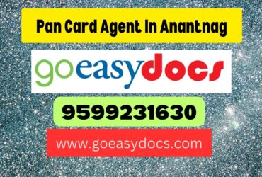 Pan Card Agent Consultant in Anantnag 8851415812