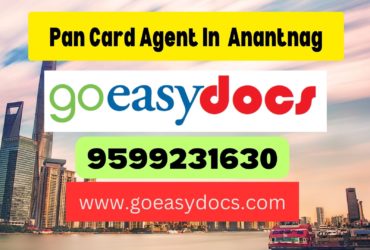 Pan Card Agent Consultant in Anantnag 8851415812