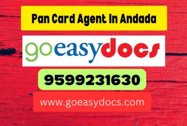 Pan Card Agent Consultant in Andada 8851415812