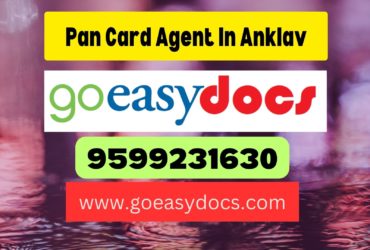 Pan Card Agent Consultant in Anklav 8851415812