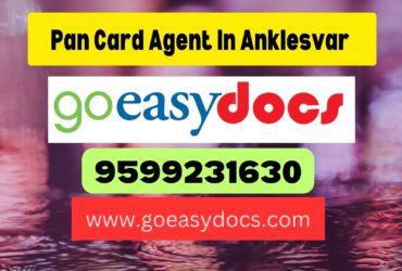 Pan Card Agent Consultant in Anklesvar  8851415812