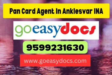 Pan Card Agent Consultant in Anklesvar INA 8851415812