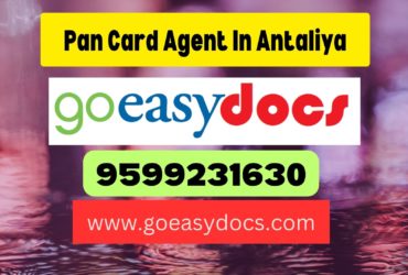 Pan Card Agent Consultant in Antaliya 8851415812