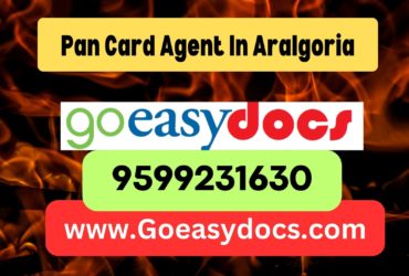 Pan Card Agent Consultant in Aralgoria 8851415812