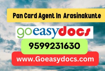 Pan Card Agent Consultant in Arasinakunte 8851415812