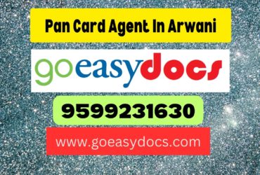 Pan Card Agent Consultant in Arwani 8851415812