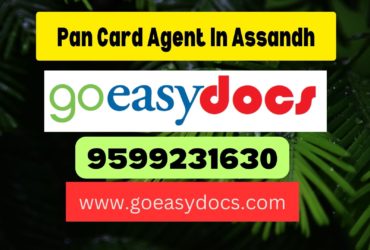 Pan Card Agent Consultant in Assandh 8851415812