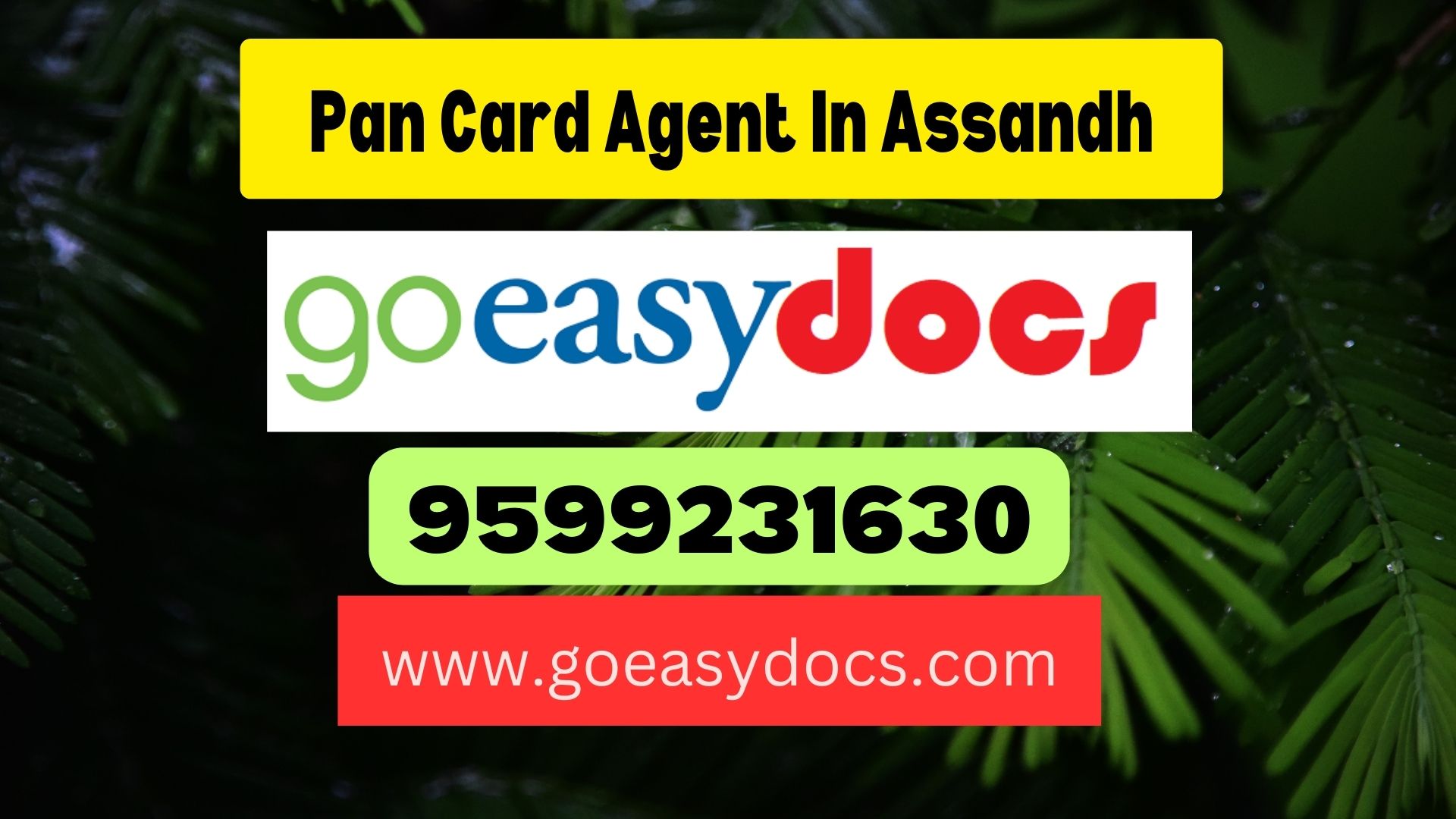 Pan Card Agent Consultant in Assandh 8851415812