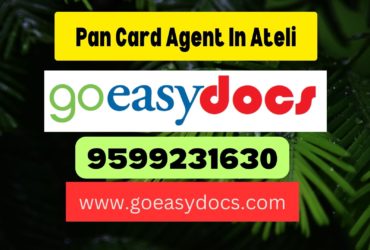 Pan Card Agent Consultant in Ateli 8851415812