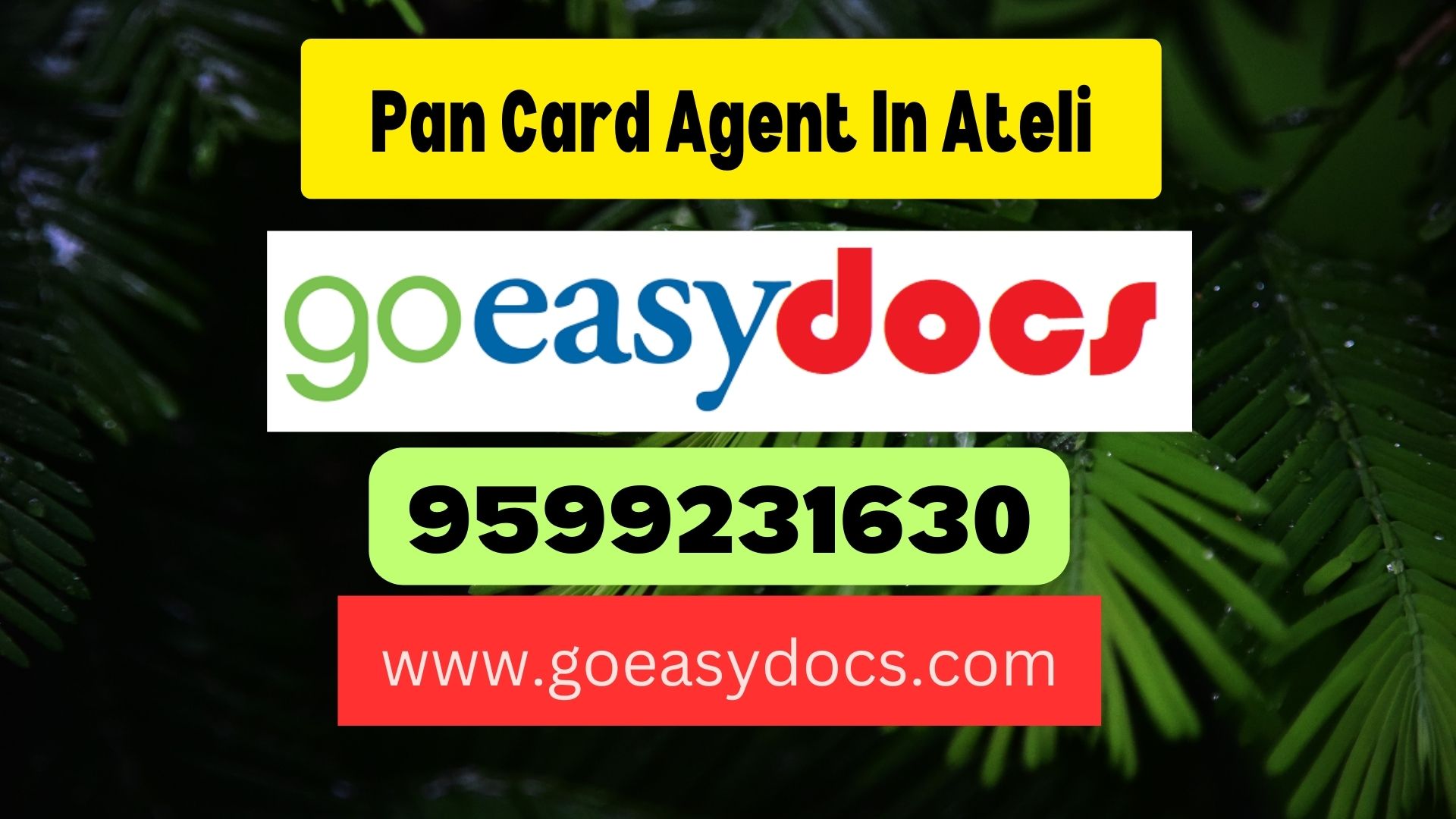 Pan Card Agent Consultant in Ateli 8851415812