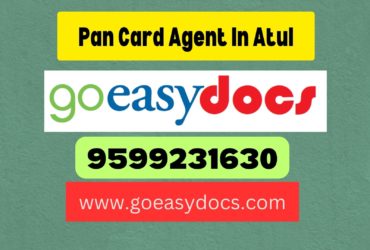 Pan Card Agent Consultant in Atul 8851415812