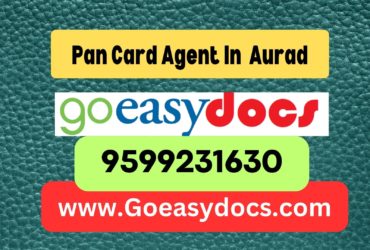 Pan Card Agent Consultant in Aurad 8851415812