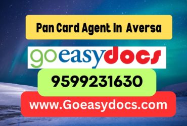 Pan Card Agent Consultant in Aversa 8851415812