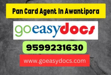 Pan Card Agent Consultant in Awantipora 8851415812