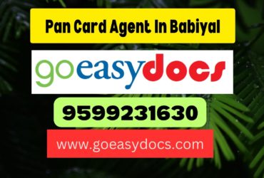 Pan Card Agent Consultant in Babiyal 8851415812