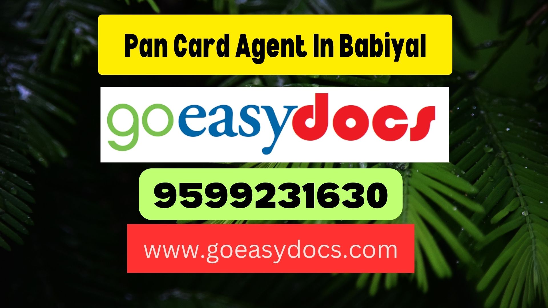 Pan Card Agent Consultant in Babiyal 8851415812