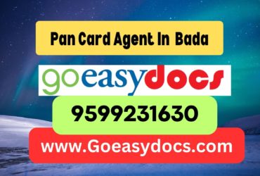 Pan Card Agent Consultant in Bada 8851415812