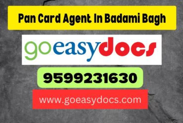 Pan Card Agent Consultant in Badami Bagh 8851415812