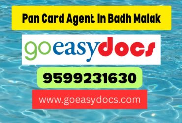 Pan Card Agent Consultant in Badh Malak 8851415812