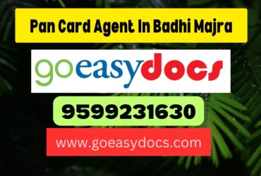 Pan Card Agent Consultant in Badhi Majra 8851415812