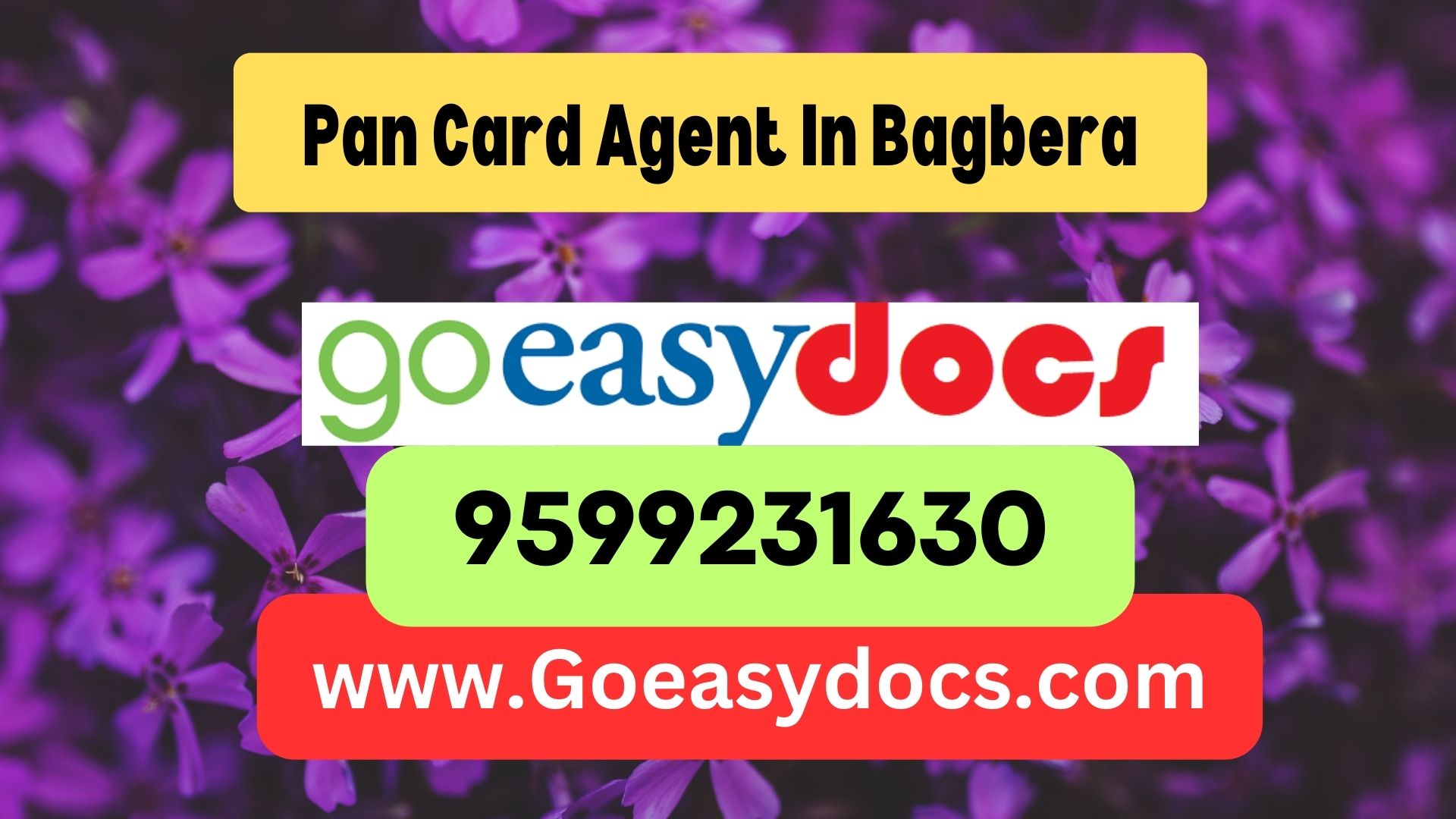 Pan Card Agent Consultant in Bagbera 8851415812