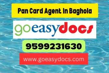 Pan Card Agent Consultant in Baghola 8851415812