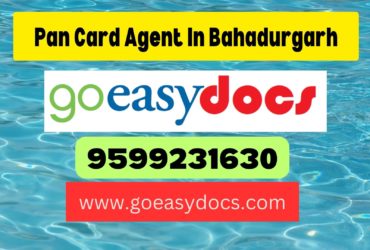 Pan Card Agent Consultant in Bahadurgarh 8851415812