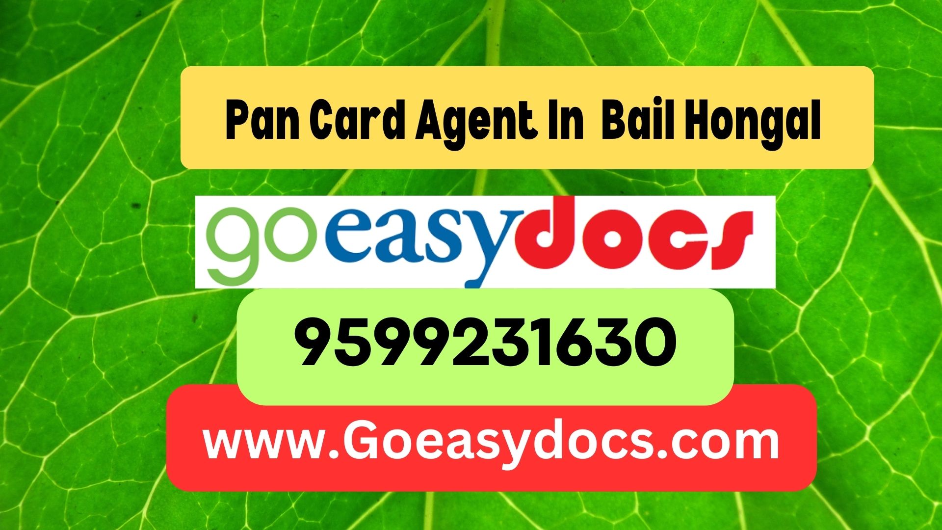 Pan Card Agent Consultant in Bail Hongal 8851415812