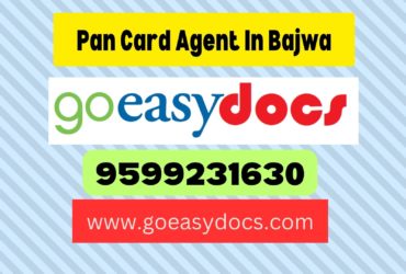 Pan Card Agent Consultant in Bajwa 8851415812