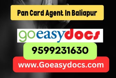 h1>Pan Card Agent Consultant in Baliapur 8851415812