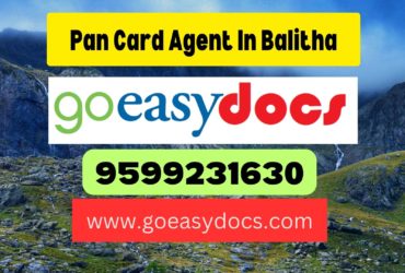 Pan Card Agent Consultant in Balitha 8851415812